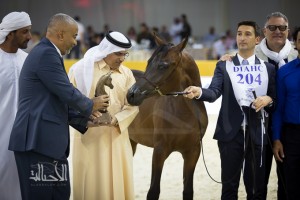 SSS_6816دبي dubai ٢٠١٥