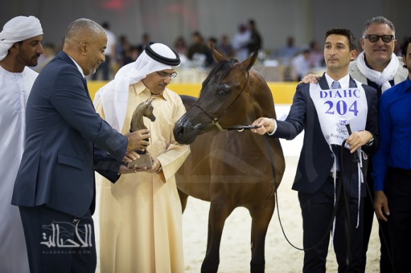 SSS_6816دبي dubai ٢٠١٥