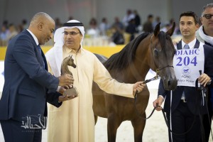 SSS_6821دبي dubai ٢٠١٥