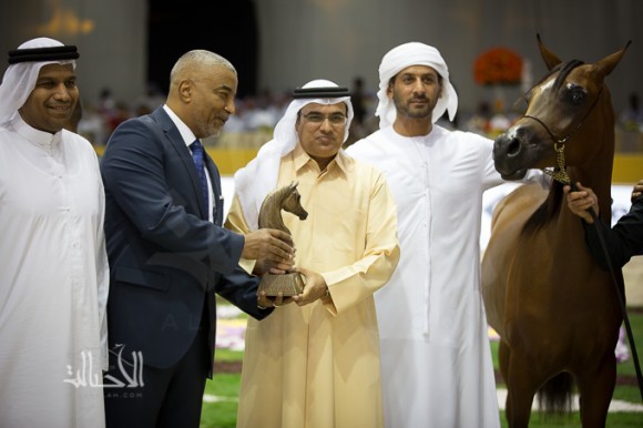 SSS_6824دبي dubai ٢٠١٥