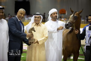 SSS_6825دبي dubai ٢٠١٥