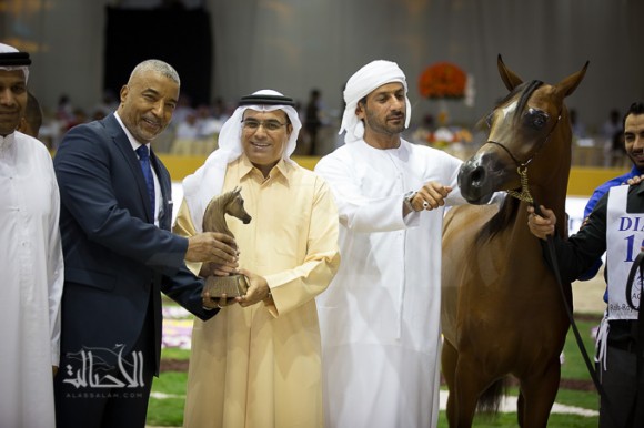 SSS_6825دبي dubai ٢٠١٥