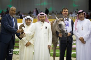 SSS_6828دبي dubai ٢٠١٥