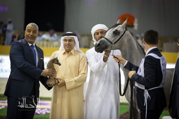 SSS_6851دبي dubai ٢٠١٥