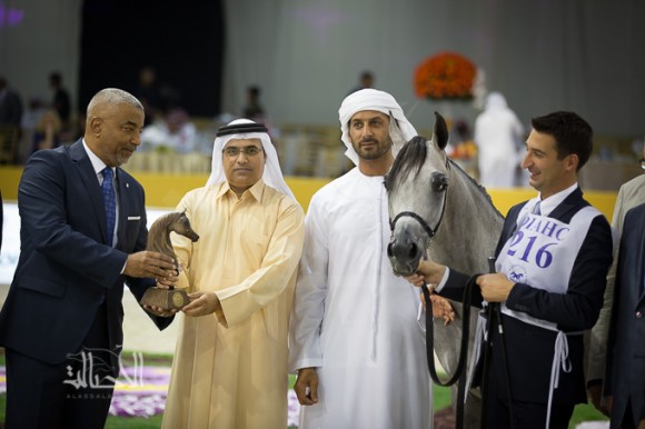 SSS_6856دبي dubai ٢٠١٥