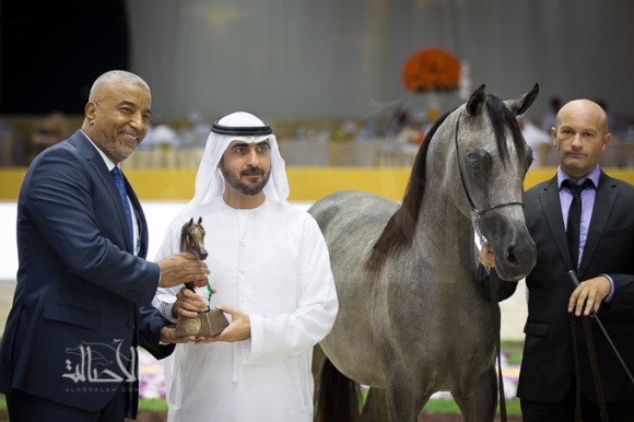 SSS_6861دبي dubai ٢٠١٥