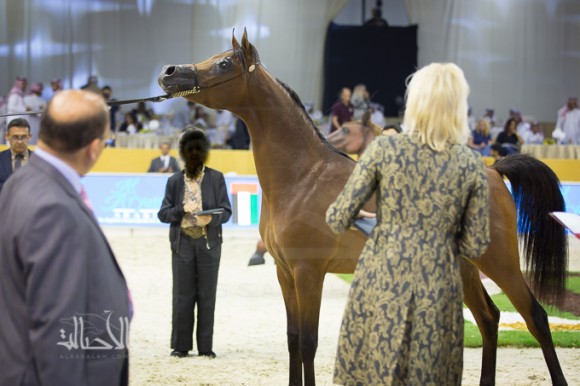 SSS_6870دبي dubai ٢٠١٥