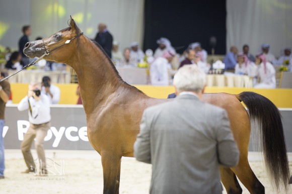 SSS_6876دبي dubai ٢٠١٥