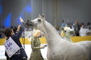 SSS_6900دبي dubai ٢٠١٥