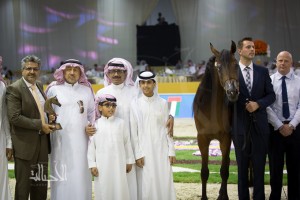 SSS_6922دبي dubai ٢٠١٥