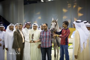 SSS_6931دبي dubai ٢٠١٥