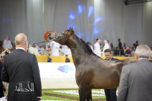 SSS_6955دبي dubai ٢٠١٥