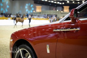 SSS_6975دبي dubai ٢٠١٥