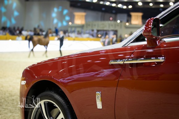 SSS_6975دبي dubai ٢٠١٥