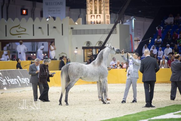 SSS_6980دبي dubai ٢٠١٥