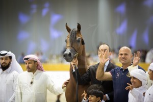 SSS_6984دبي dubai ٢٠١٥