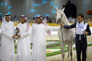 SSS_6993دبي dubai ٢٠١٥