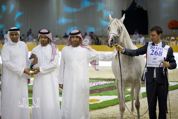 SSS_6993دبي dubai ٢٠١٥