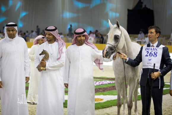 SSS_6998دبي dubai ٢٠١٥