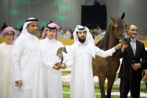 SSS_7000دبي dubai ٢٠١٥