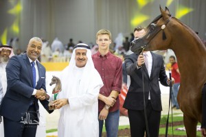 SSS_7004دبي dubai ٢٠١٥