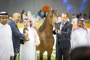 SSS_7009دبي dubai ٢٠١٥