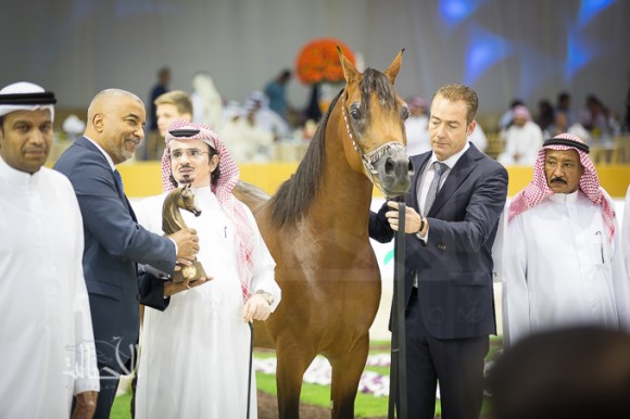 SSS_7009دبي dubai ٢٠١٥