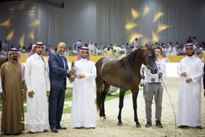 SSS_7013دبي dubai ٢٠١٥