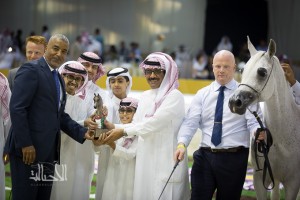 SSS_7043دبي dubai ٢٠١٥