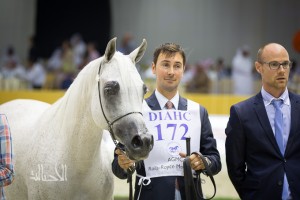 SSS_7064دبي dubai ٢٠١٥