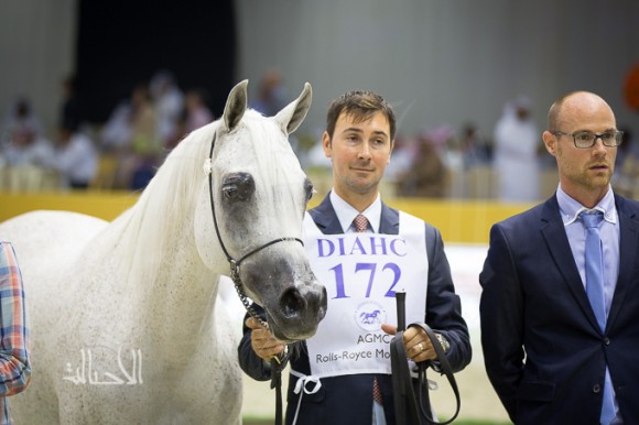 SSS_7064دبي dubai ٢٠١٥