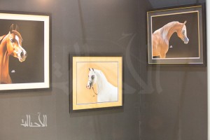 SSS_7077دبي dubai ٢٠١٥