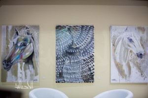 SSS_7079دبي dubai ٢٠١٥