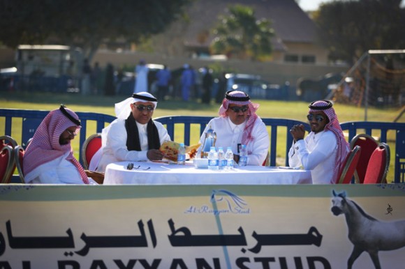 عرض ارامكو1