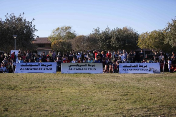 عرض ارامكو18