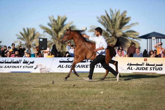 عرض ارامكو20