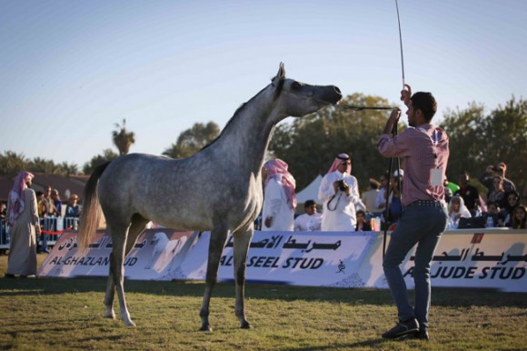 عرض ارامكو24