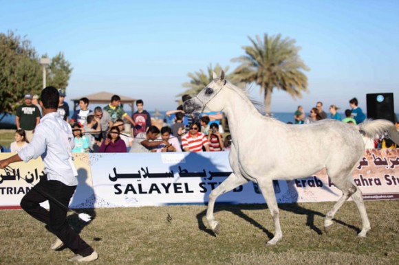 عرض ارامكو25