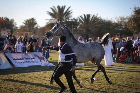 عرض ارامكو26