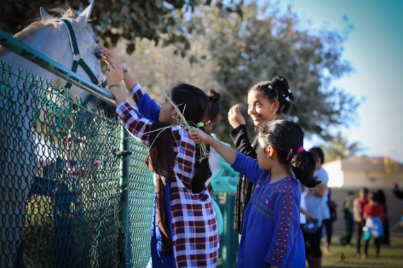 عرض ارامكو3