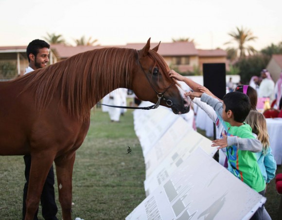 عرض ارامكو40