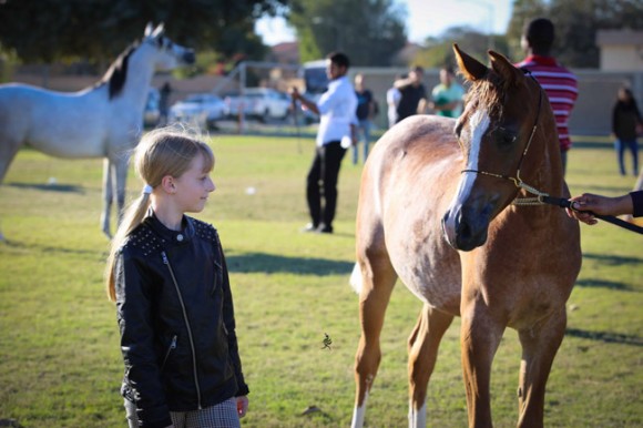 عرض ارامكو5