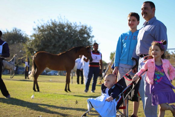 عرض ارامكو6