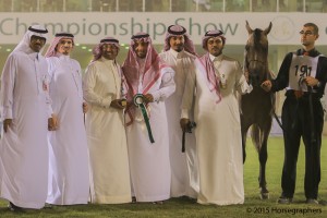 ?-?????? ???? ??? ? ارس النايفات ١٩١