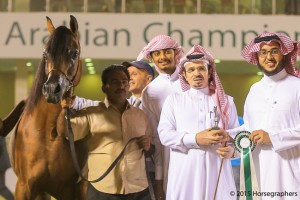 ?-?????? ???? ??? ? ازيالخالدية ٣٢٠