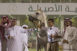 ?-?????? ?????? ?? ? اسر المحمدية ٢٣٣