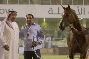 ?-?????? ???? ???  الأندرا ٢٥٣