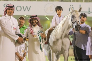 ?-?????? ???? ? ? الاس اتنيا ٣٠٠