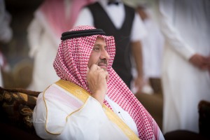 البطولة الوطنية 10