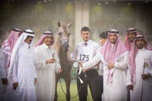 البطولة الوطنية 12